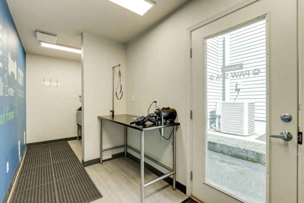 Pet wash with shower and drying station