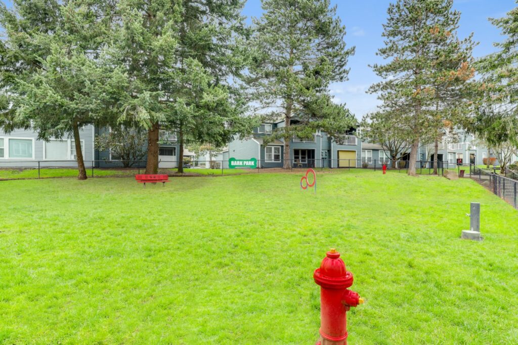 Dog park with obstacle course and water fountain