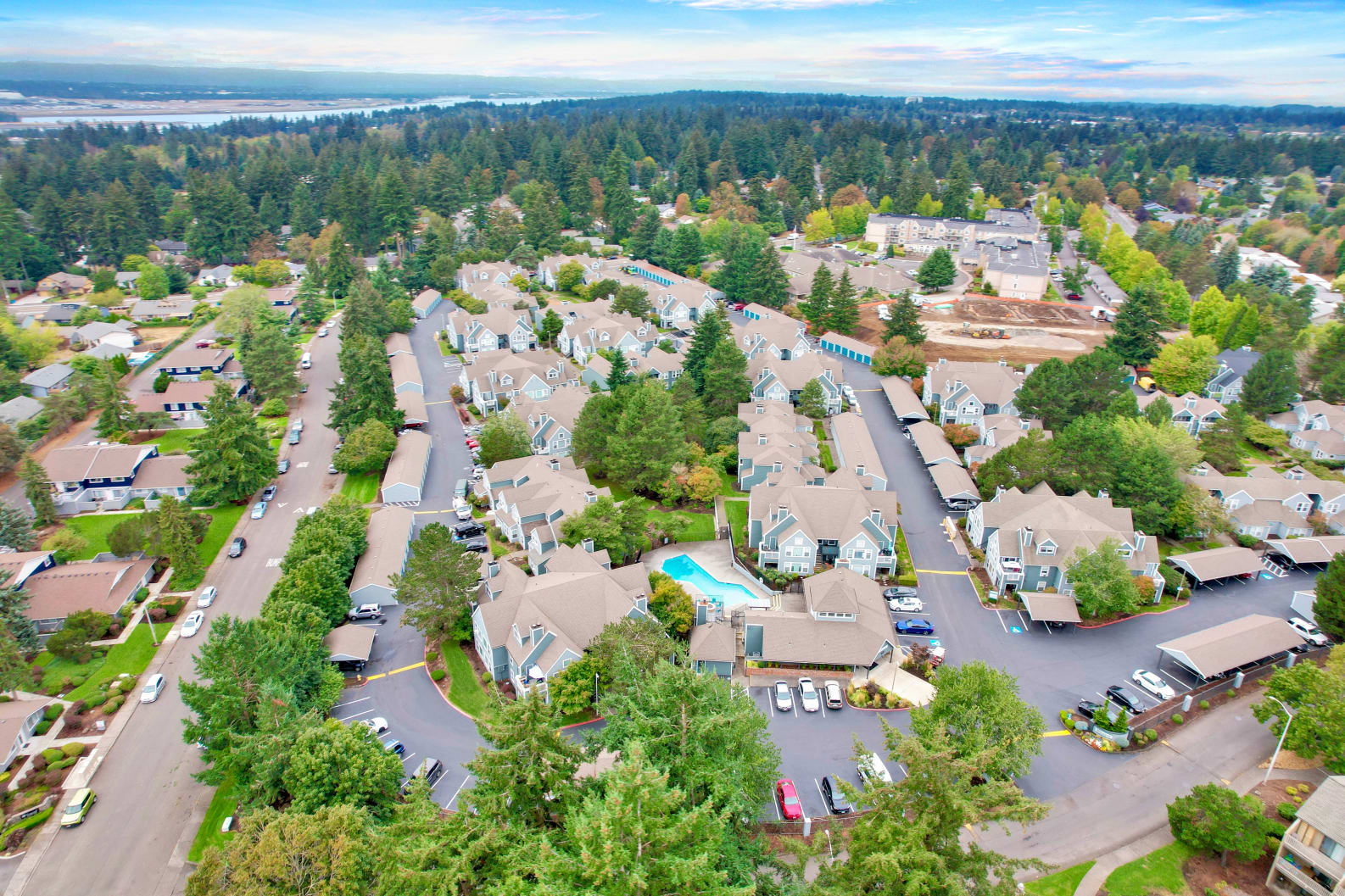 Aerial view of community, lots of trees