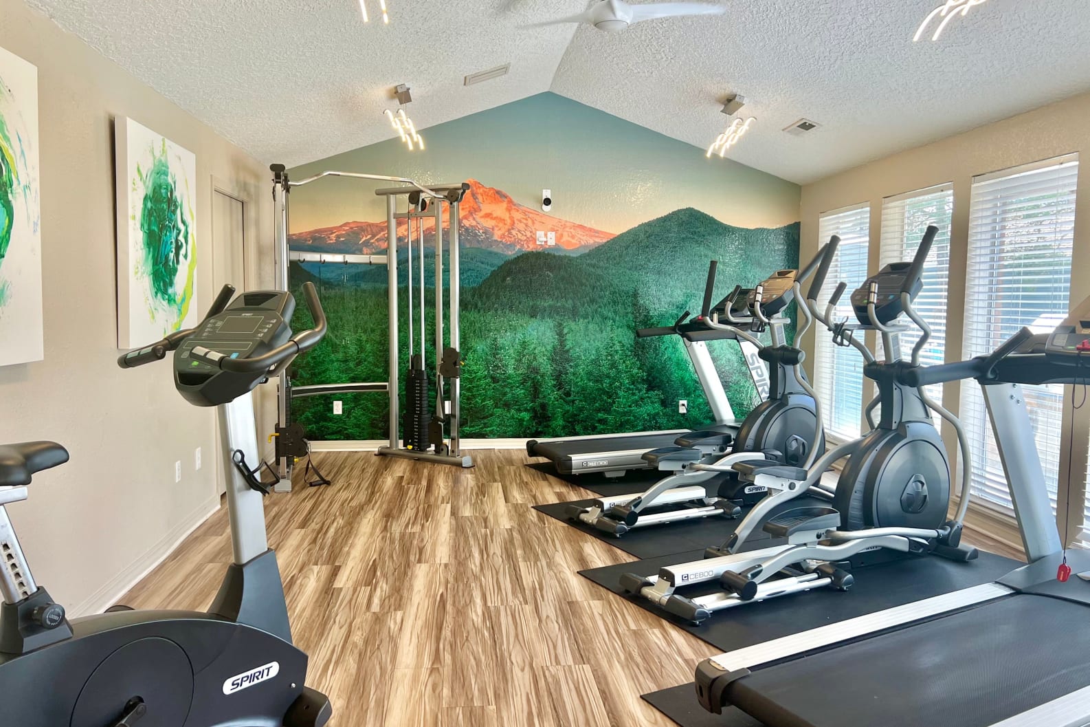 Fitness center with cardio and strength training equipment