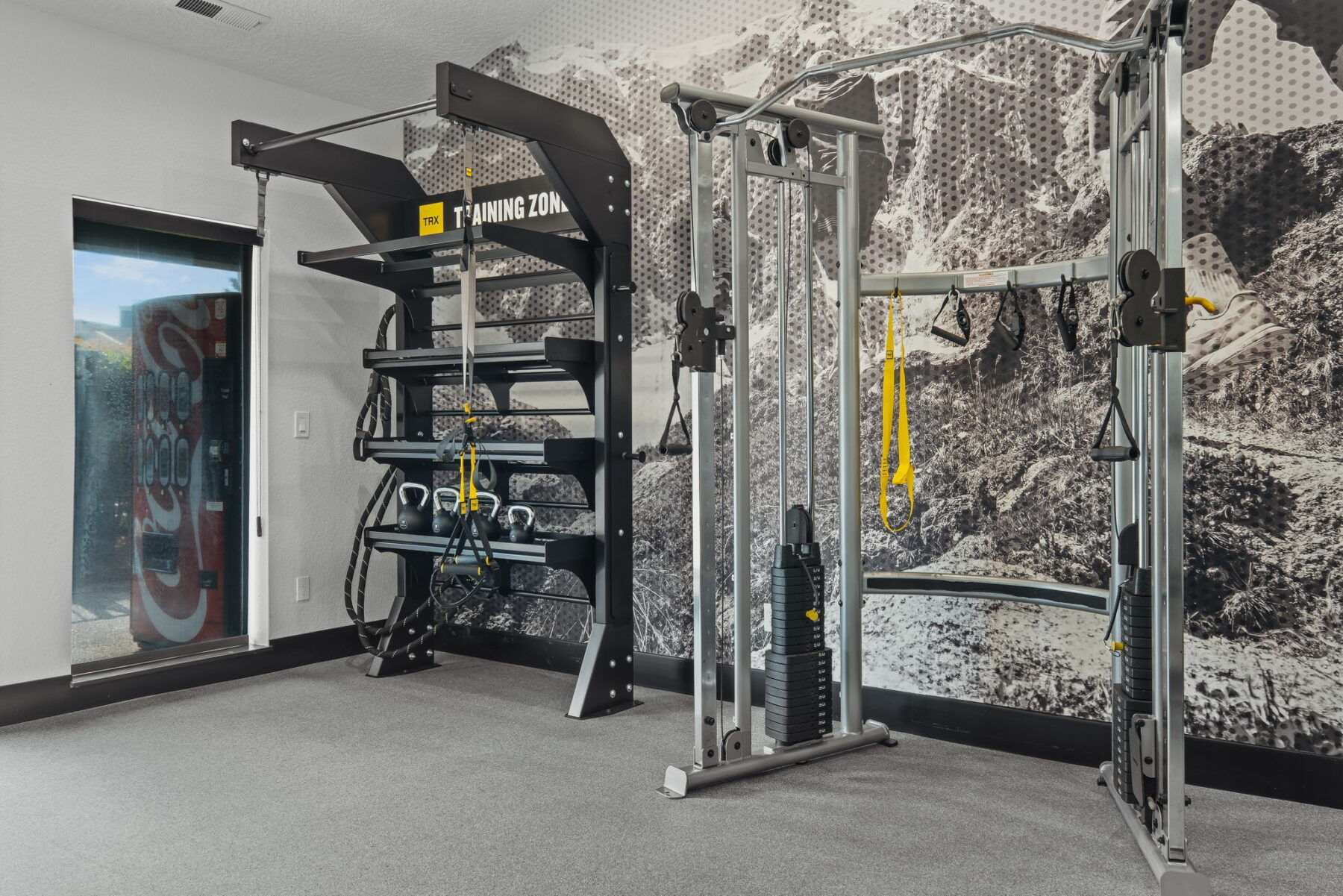 Gym equipment in a room with a mountain mural. Features a sleek cable machine and training zone with weights and resistance bands.