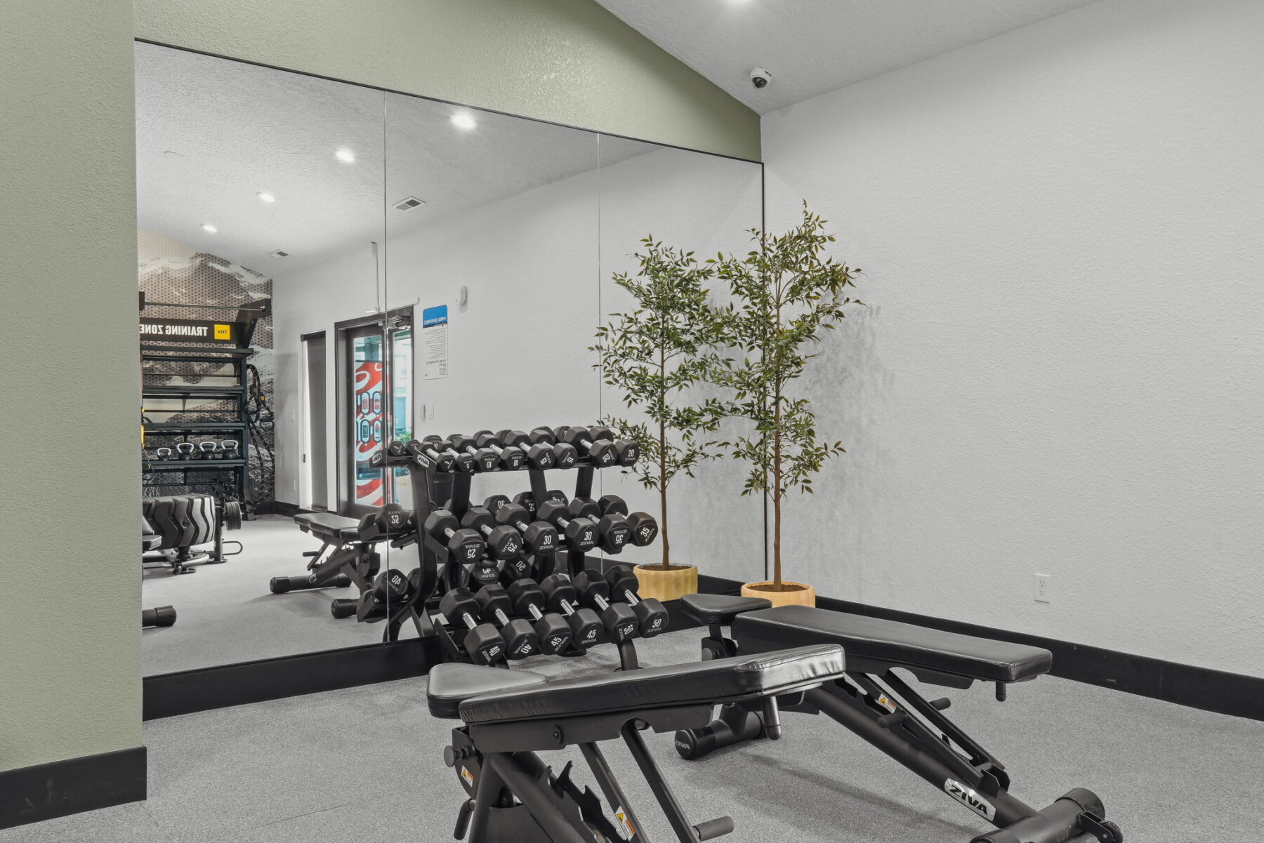 A compact gym features a mirrored wall reflecting rows of dumbbells, two adjustable benches, and a tall potted plant.
